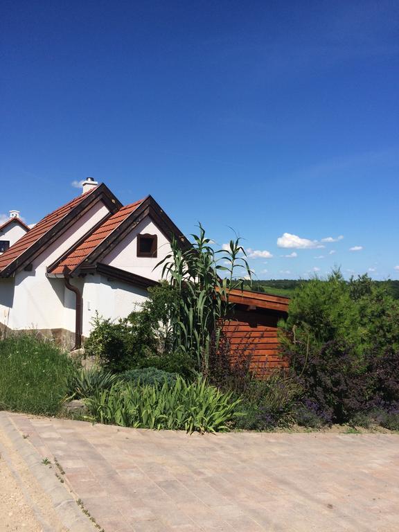 Voeroesmal Vendeghaz Lägenhet Balatonfüred Exteriör bild